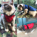 Ropa impermeable de la perrito del gato de la ropa del perrito del gato del invierno